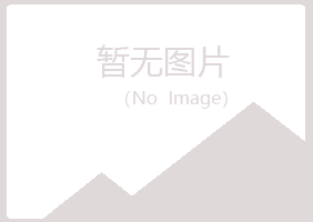 防城港紫山金融有限公司